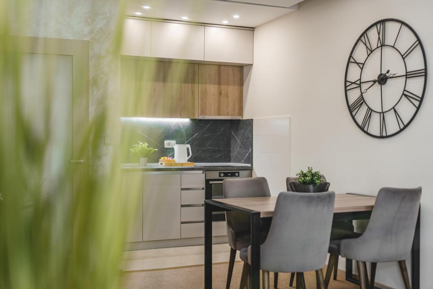 Harmony Apartments 波德戈里察 外观 照片